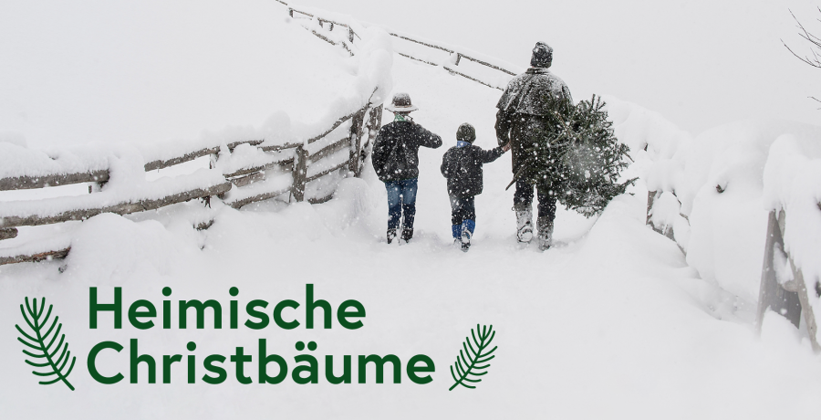 Mann geht im Schnee mit zwei Kindern und Christbaum