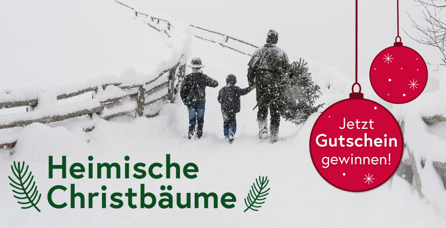 Mann geht im Schnee mit zwei Kindern und Christbaum