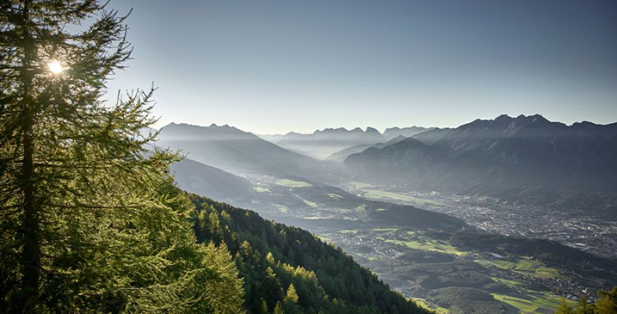 Zirbenweg