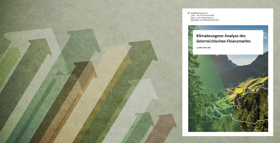 Karusselbild Analyse des österreichischen Finanzmarkts