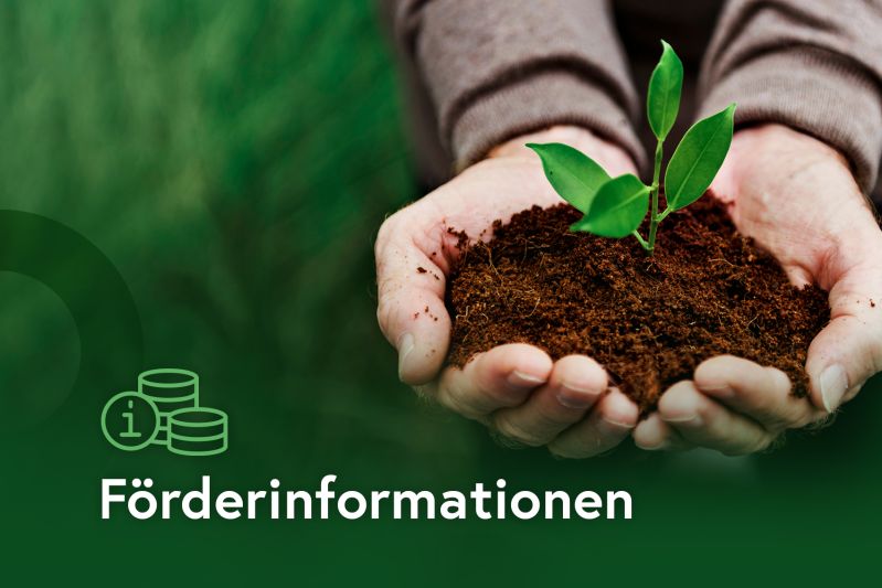 Auf dem Bild sind zwei Hände zu sehen in denen sich ein Häufchen Erde befindet und eine Pflanze hinaus wächst.   Text auf dem Bild: Förderinformationen