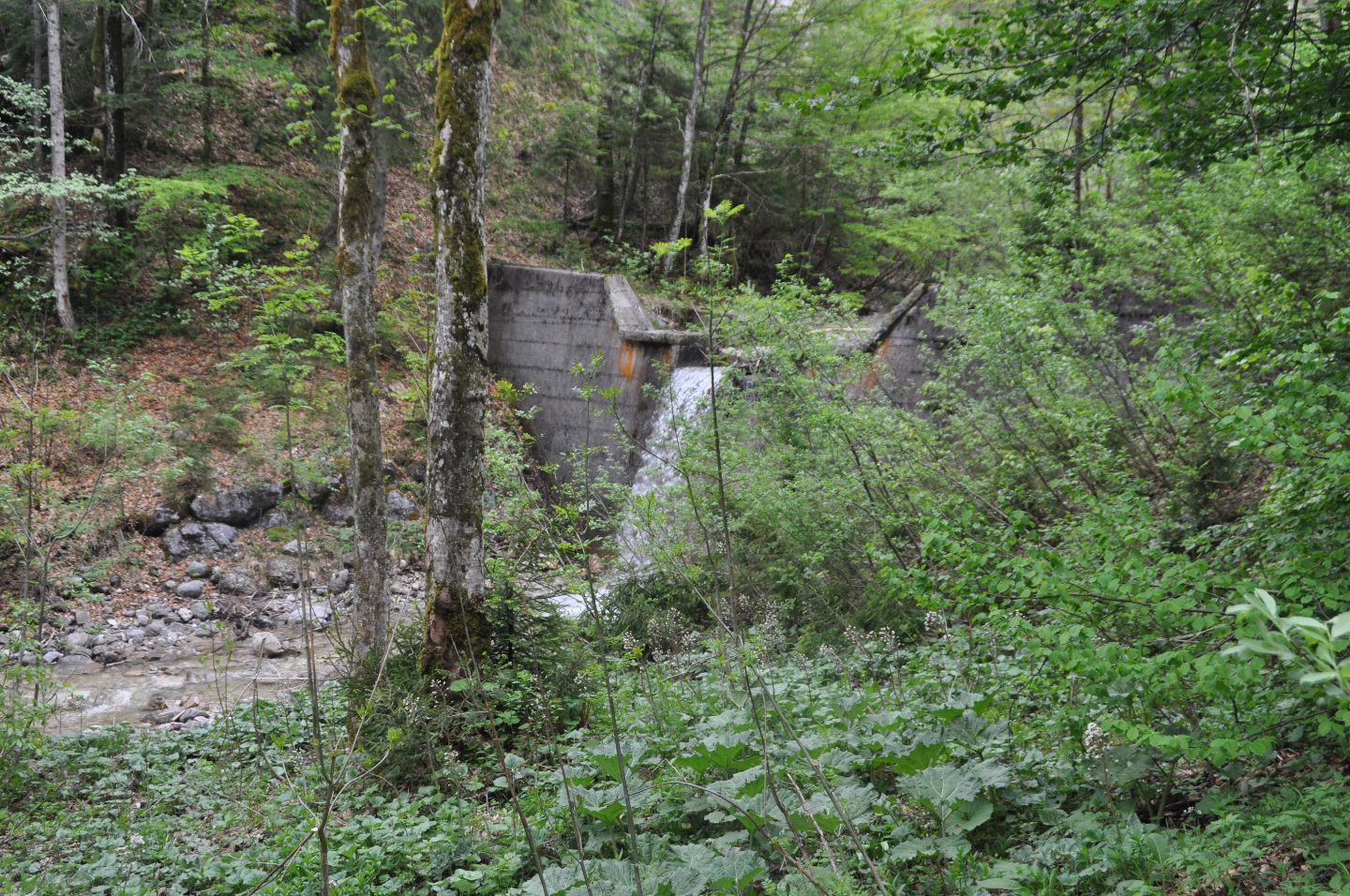 Betonmauer mit Wasserfall in einem bewaldeten, grünen Flusstal