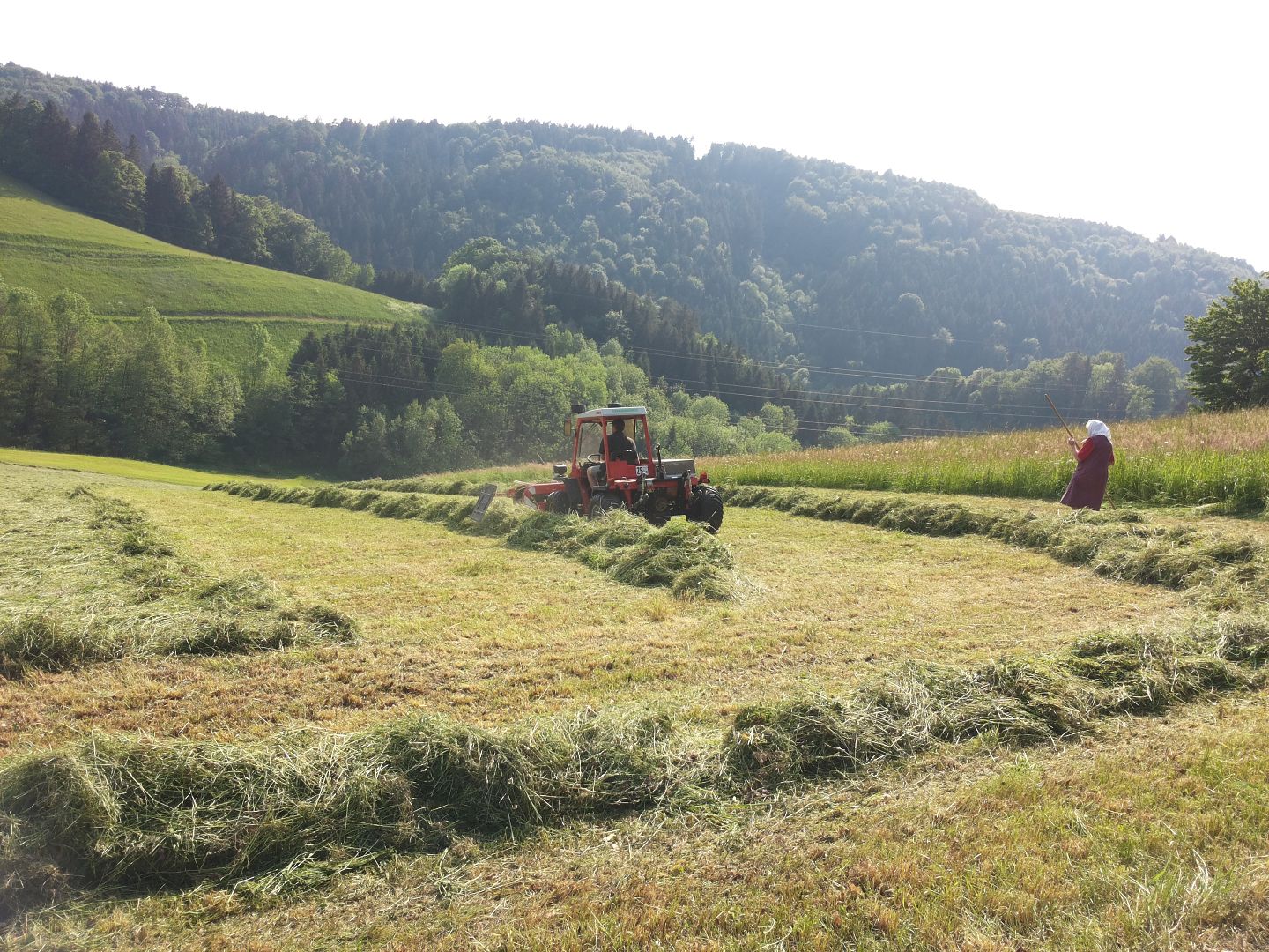 Heuernte im Berggebiet
