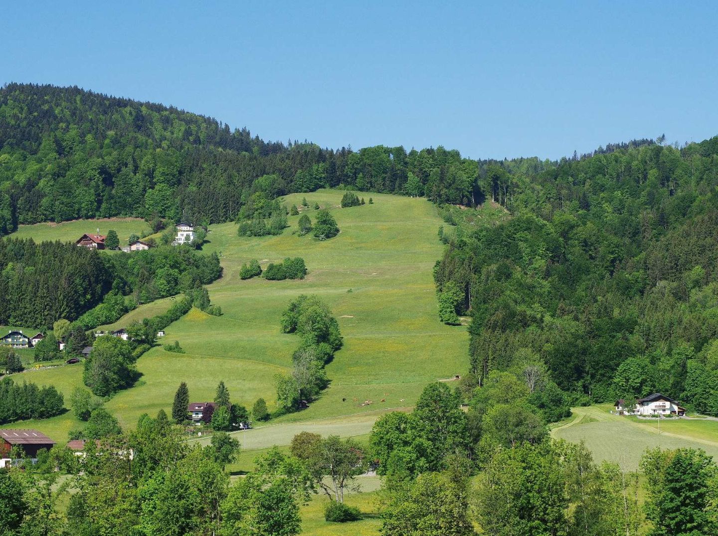 Kulturlandschaft am Hang
