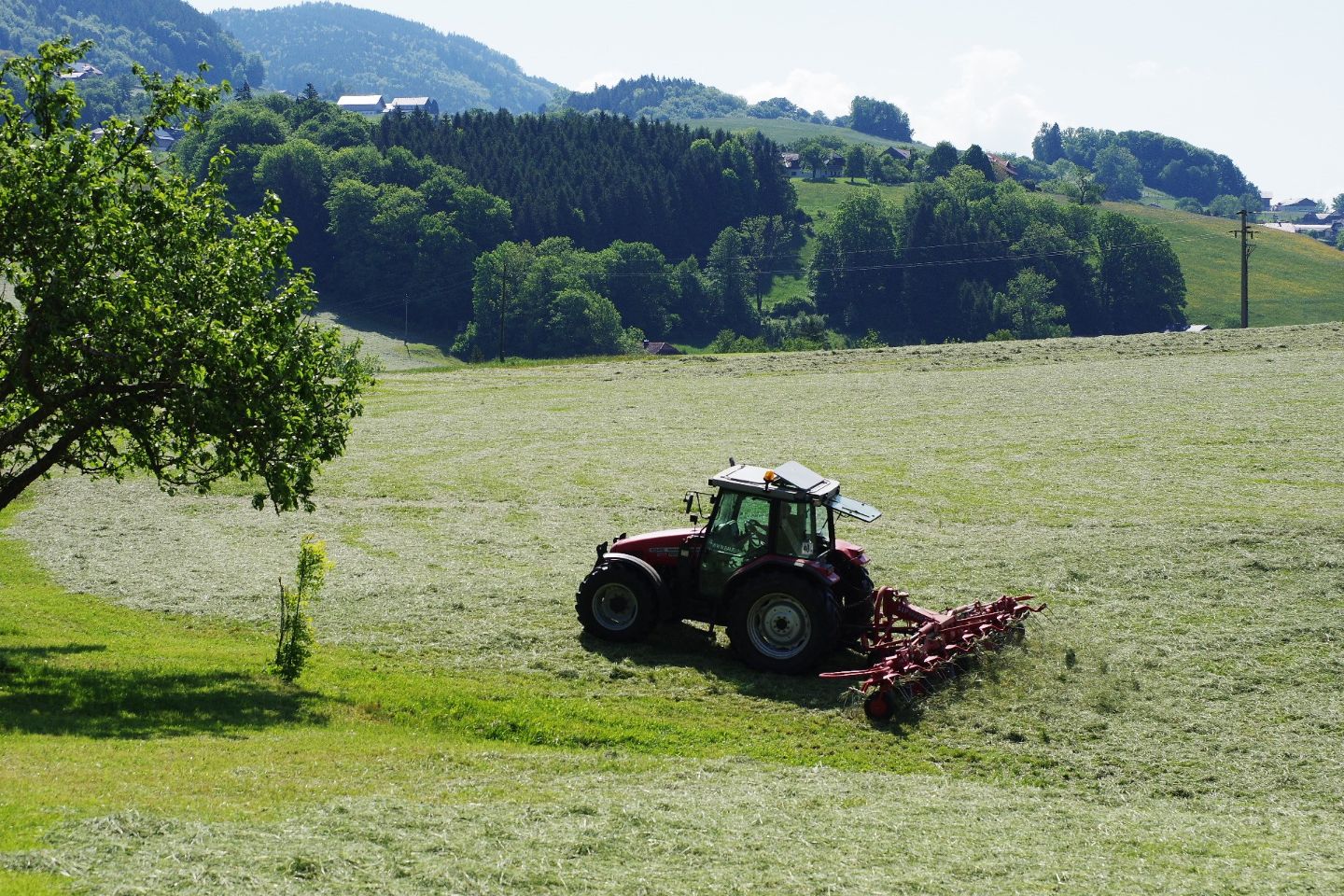 Screenshot aus dem Kurzfilm zum dreißigjährigen Jubiläum des Agrarumweltprogrammes