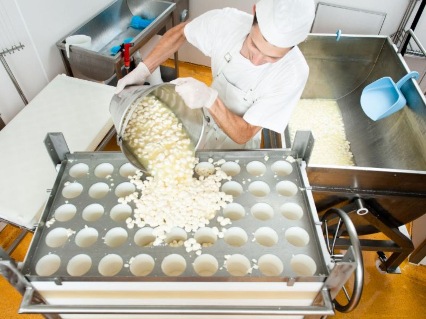 Produktion und Vermarktung landwirtschaftlicher Produkte