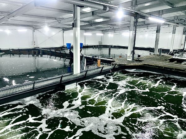  Interior view of the facility