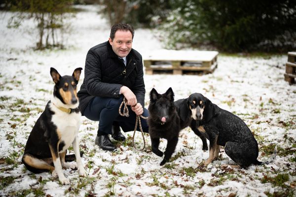 Sniffer dogs against forest pests