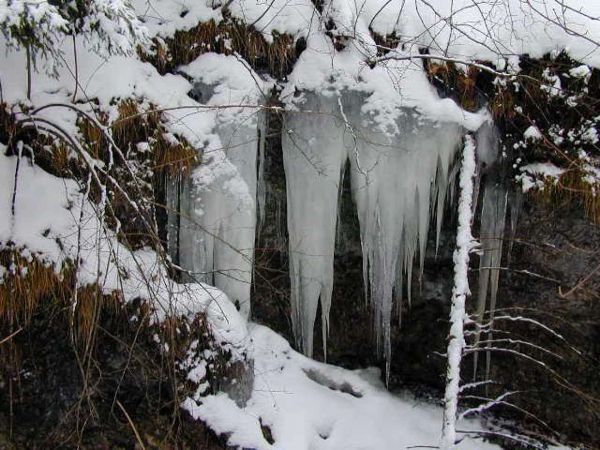 icicle