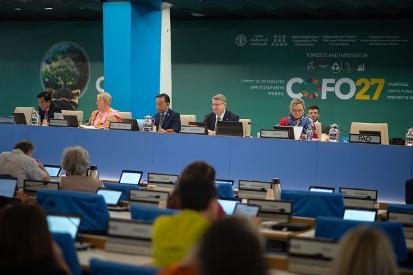 FAO conference