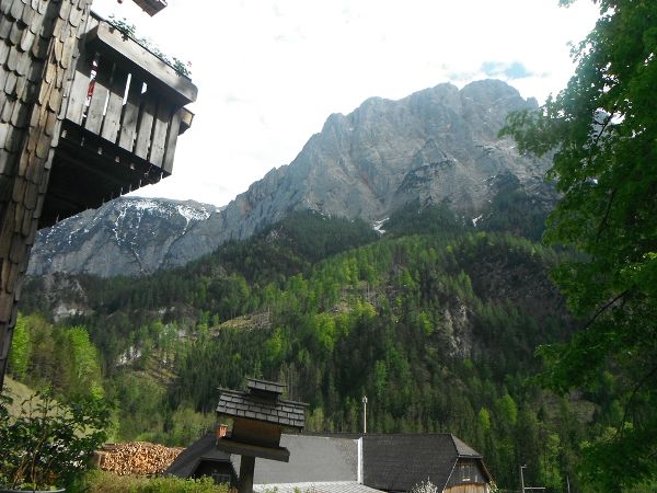 historical forester's house