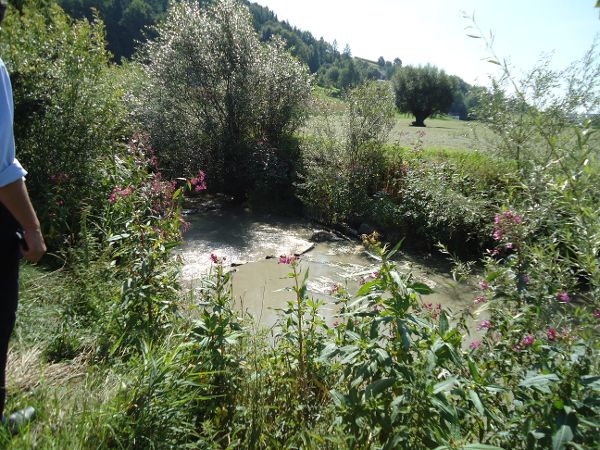 Renaturation measures on the water