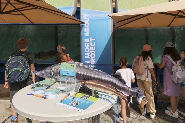 Photo in front of the aquarium with information stand and children.