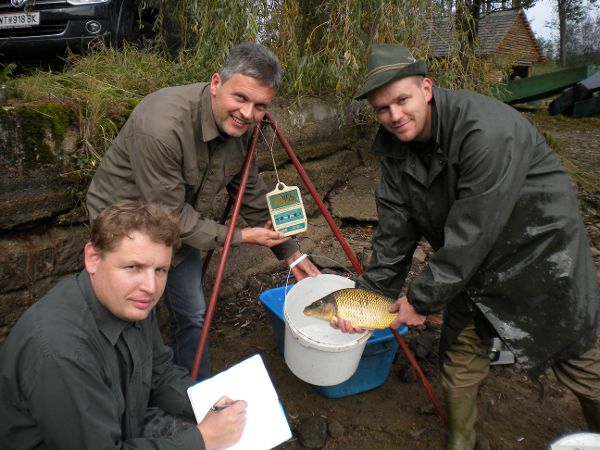 Jan Regenda (University of Budweis), Günther Gratzl (Federal Office for Water Management) and David Hlavac (University of Budweis)