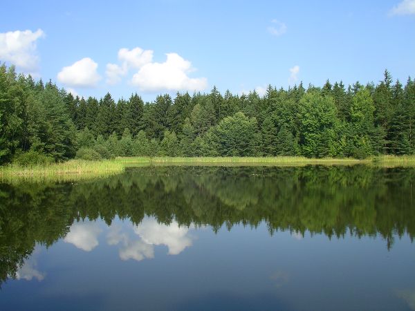 Steinfurth pond