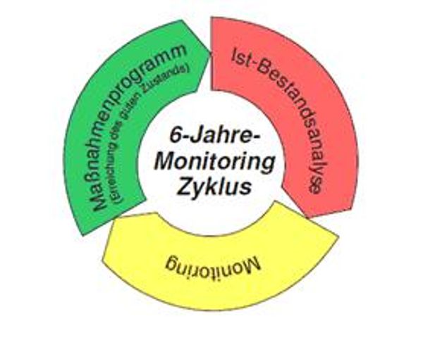 Schematic representation of the 6-year water framework guidelines - cycle