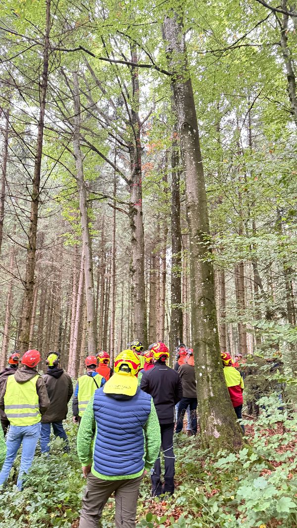 Teilnehmerinnen und Teilnehmer im Wald