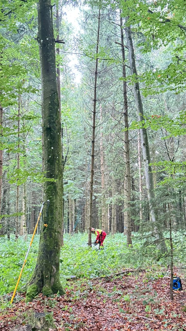 Teilnehmerinnen und Teilnehmer im Wald