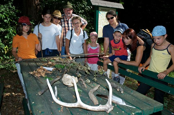 Die Kinder sehen auf einem Tisch Geweihe und andere Jagdtrophäen.
