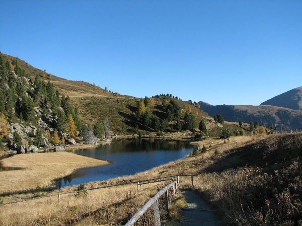 Naturlehrweg "Alpine Lebensgemeinschaften"