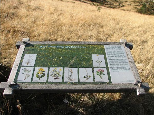 Naturlehrweg "Alpine Lebensgemeinschaften"