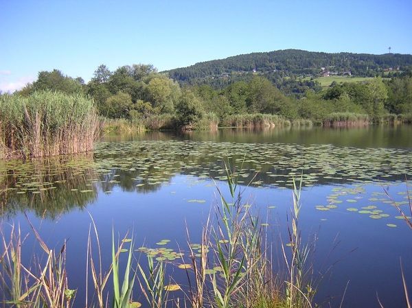 Natura Trail Keutschacher Seental