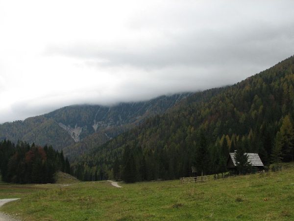 Dem Waldglas auf der Spur