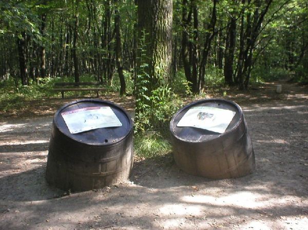 Rund um den Bisamberg