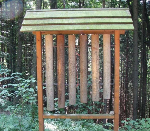 Multisensorischer Waldlehrpfad Buchenberg