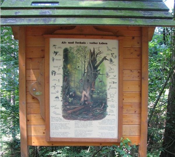 Multisensorischer Waldlehrpfad Buchenberg