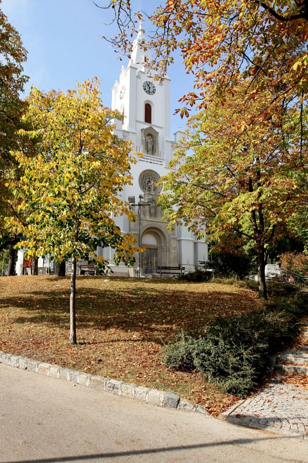 Geschichte & Gschichtl‘n - Spaziergang durch die Vergangenheit von Bad Vöslau