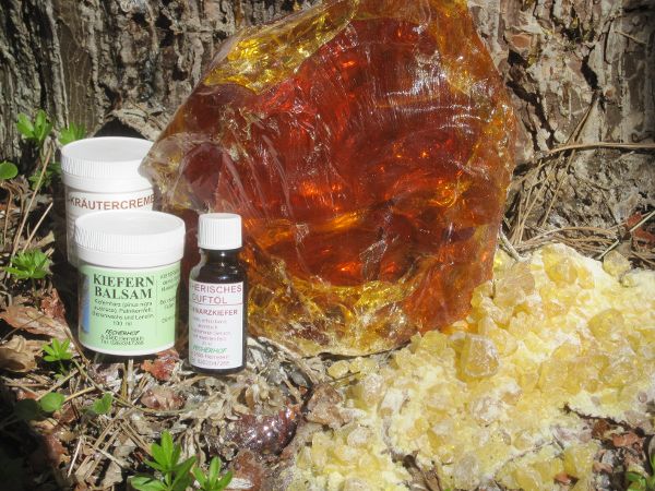Pecherpfad Hölles mit den aus dem Harz heute noch gewonnenen Produkten wie Kolophonium, Kiefern-Balsam und Schwarzföhren-Duftöl 
