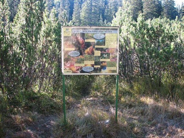 Moor-Lehrpfad im Piller Moor