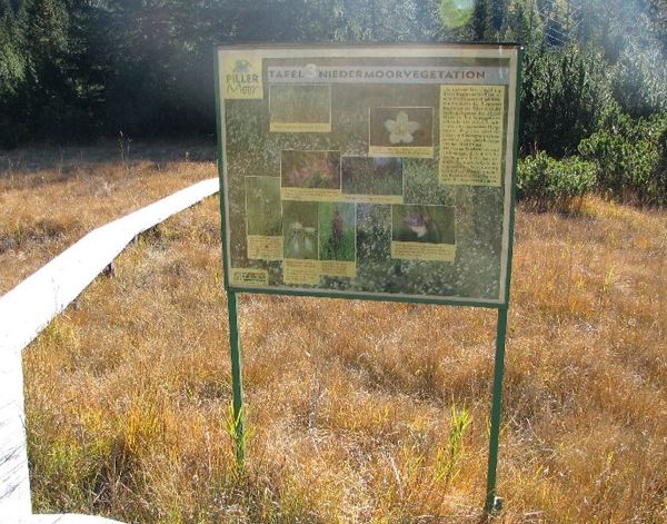 Moor-Lehrpfad im Piller Moor