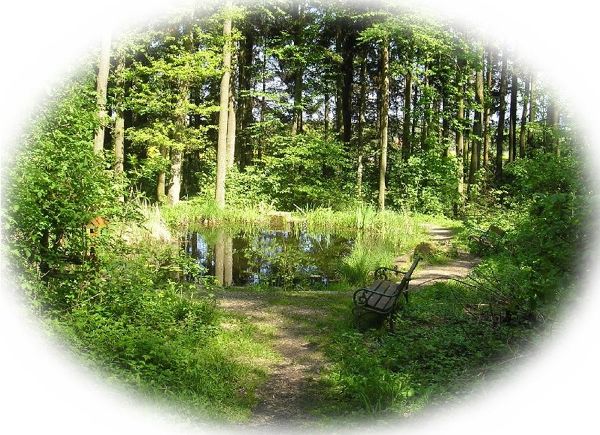 Naturlehrpfad Franzosenwald Seitenstetten