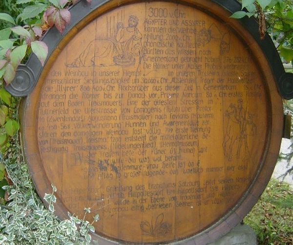 Weinlehrpfad Traismauer