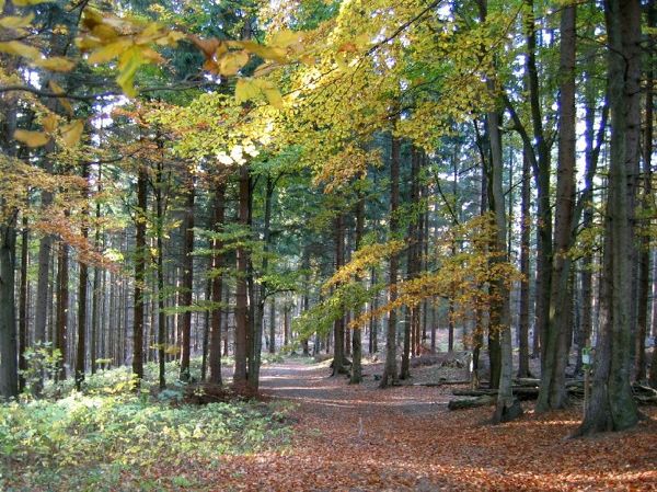 Naturerlebnisweg Weltkugel