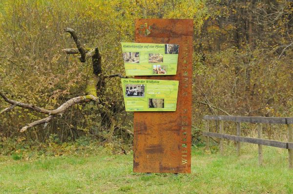 Wildkatzenwanderweg: Infotafel