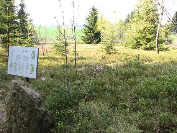 Adalbert-Stifter-Panoramasteig