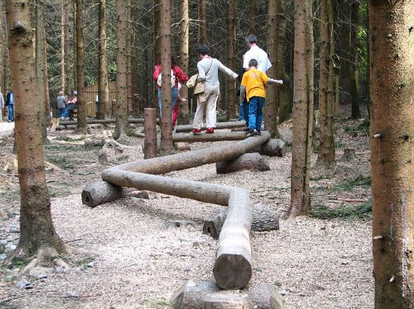 Baumkronenweg Kopfing