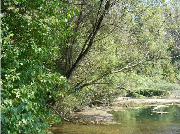 Natura Trail an Donau und Traun