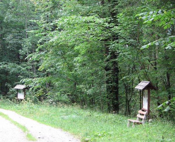 Gewässerlehrpfad Spital