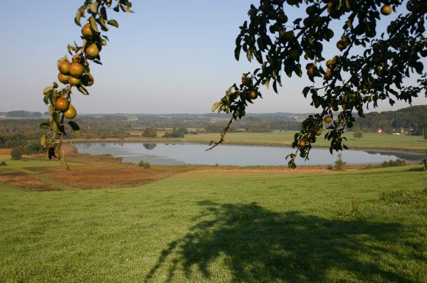 Seeleitenseeblick