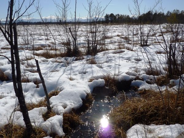 Wintermoor