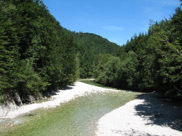 Im Tal des Holzes