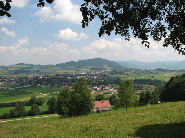 Kelten.Baum.Weg