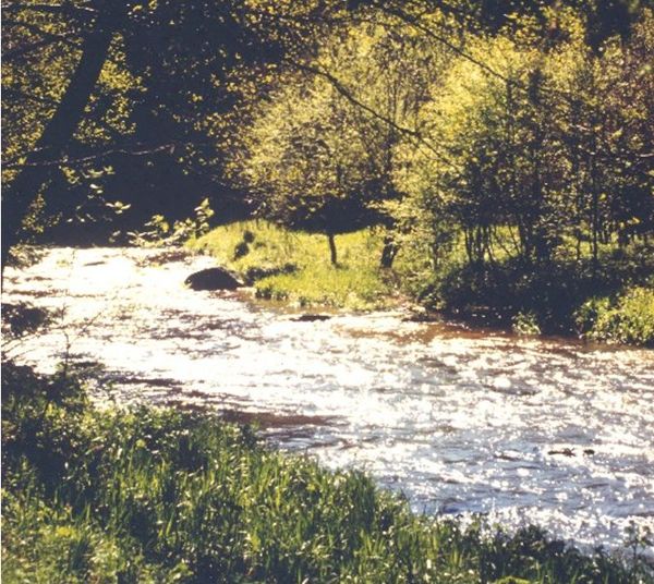 Naturerlebnisweg Steinerne Mühl