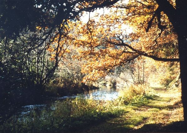 Naturerlebnisweg Steinerne Mühl