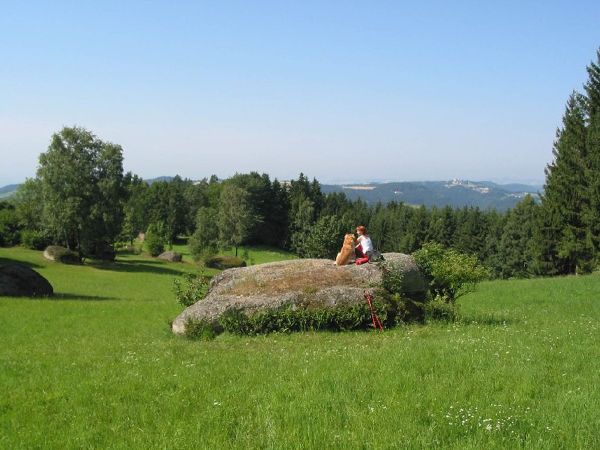 Steinlehrpfad