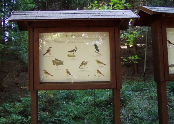 1. Mühlviertler Vogelkundeweg